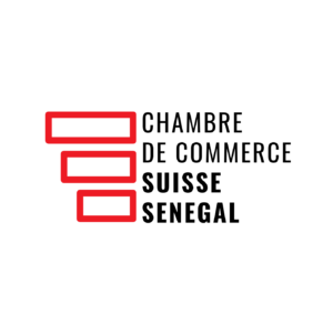 ccissn logo detoure.png