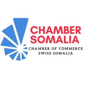 ccissomaliaa logo detoure.png